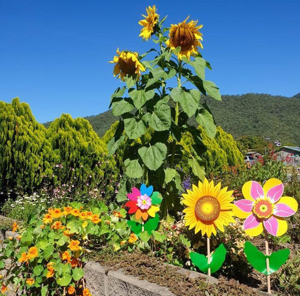 Flora Range Quality Italian Windmills by Whirly