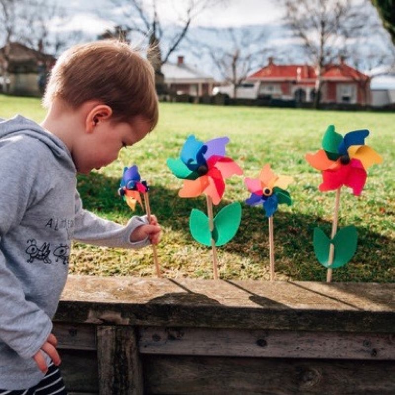 Mini and Cino Premium Pinwheels Whirly Windmills Made in Italy