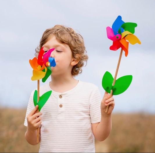 Cino Premium Pinwheel by Whirly Windmills Made in Italy