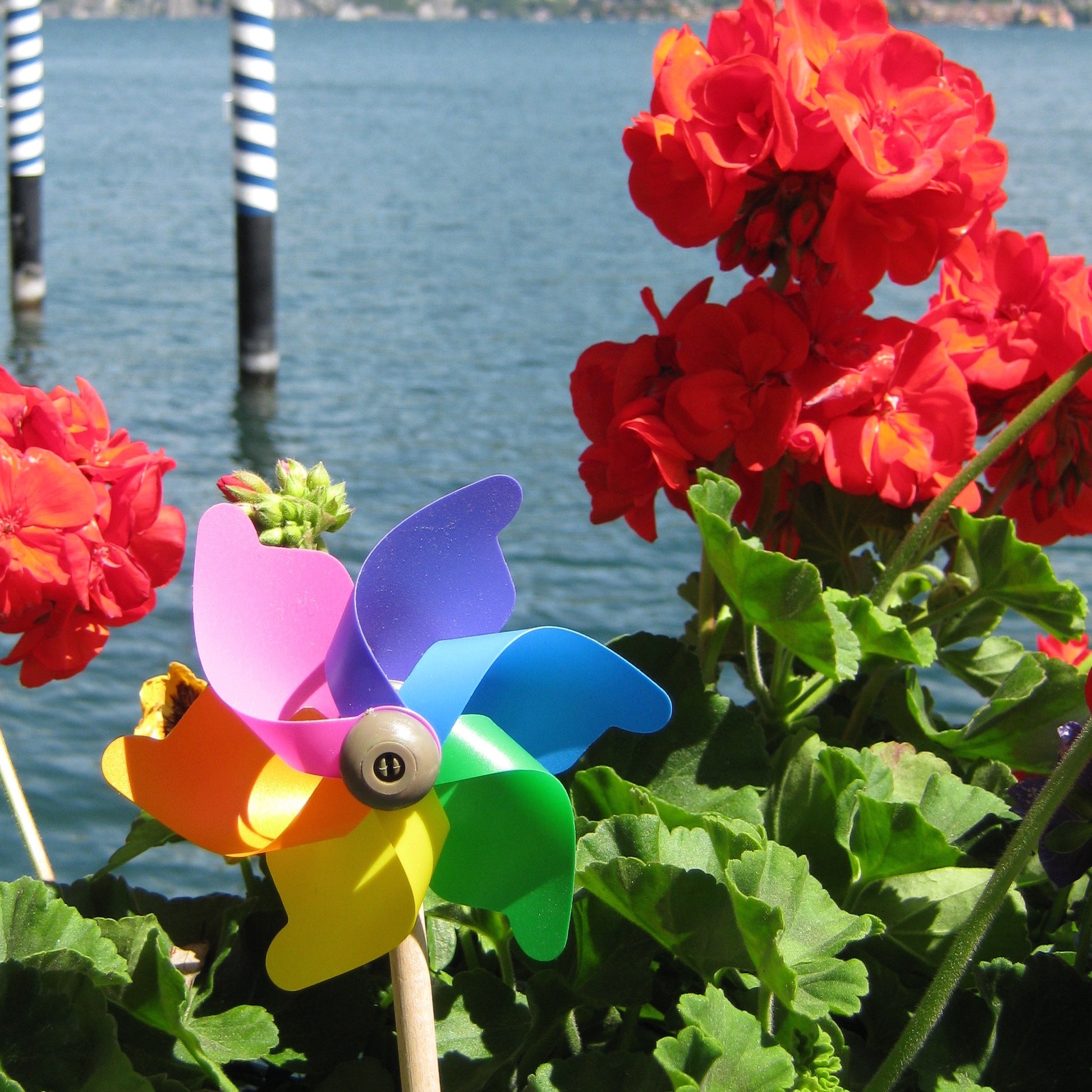Mini Whirly Windmill Lake Como Italy