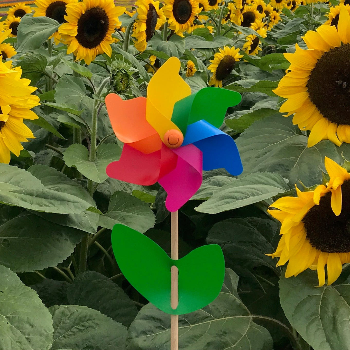 Cino Premium Whirly Windmills